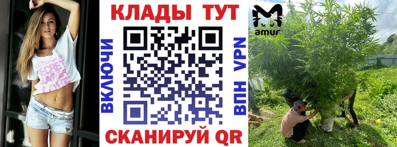 Виды наркоты Лодейное Поле А ПВП Метадон Амфетамин COCAIN Гашиш
